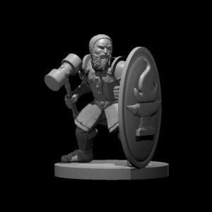 Dwarf Fighter Tower Shield and Hammer
